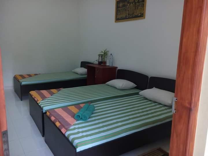 וולאוויה Dinimuthu Rest Inn מראה חיצוני תמונה